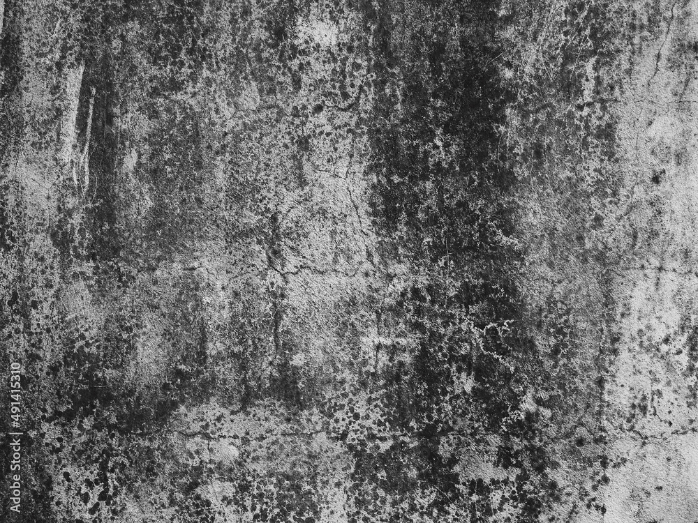 Fototapeta premium mold on concrete wall texture, grunge background