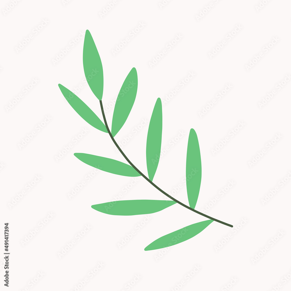 Obraz premium Hand drawn vector olive branch. White background. Isolated.