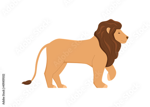 Adult lion with mane walking  flat vector illustration isolated on white background.