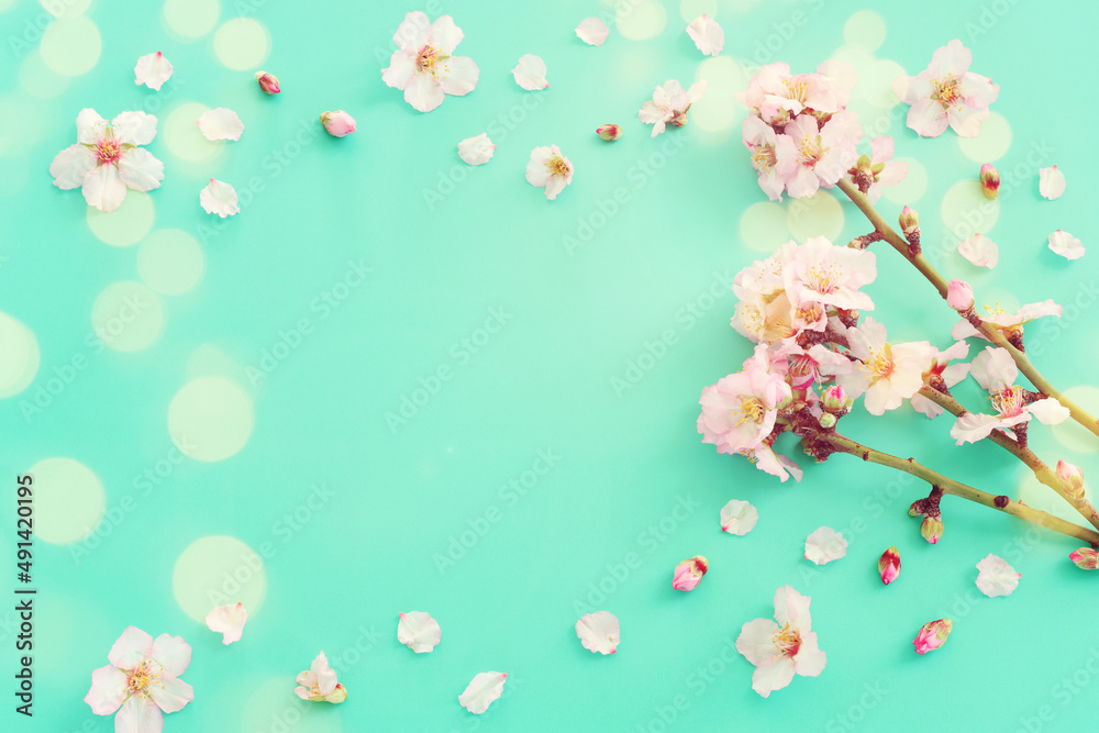 image of spring white cherry blossoms tree over mint pastel background. vintage filtered image
