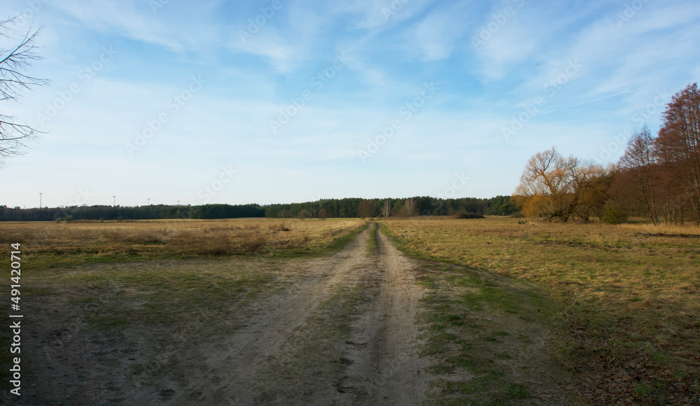 country road in autumn