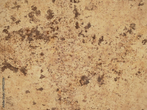 Wallpaper Mural old canvas with mold texture Torontodigital.ca