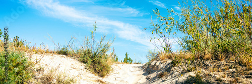 sand dunes and grass on blue sky background panorama © WeźTylkoSpójrz