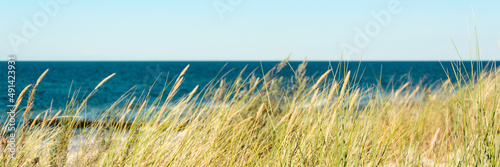 wooden fence on sea dunes panorama