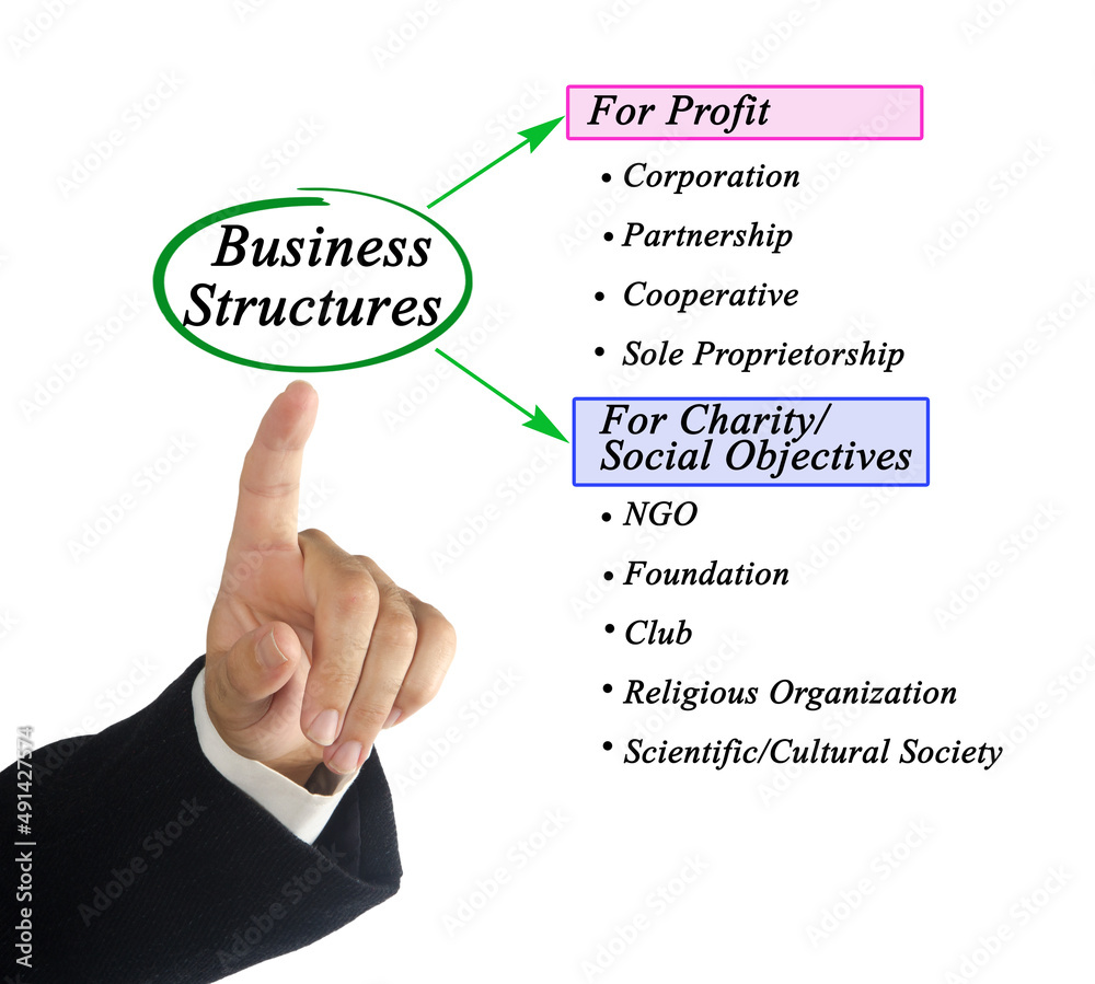 Profit and Non-profit Business Structures. Profit and Non-profit Business Structures.
