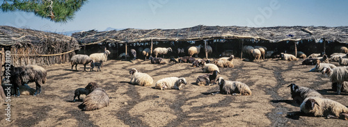 Sheepfarm. Turkey Antalya. Panorama. photo