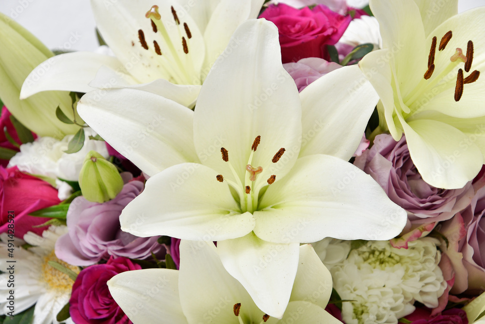 Fototapeta premium Composition with beautiful blooming lily flowers on white background , macro 