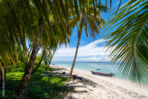Paradise beach with palmtrees and a boat