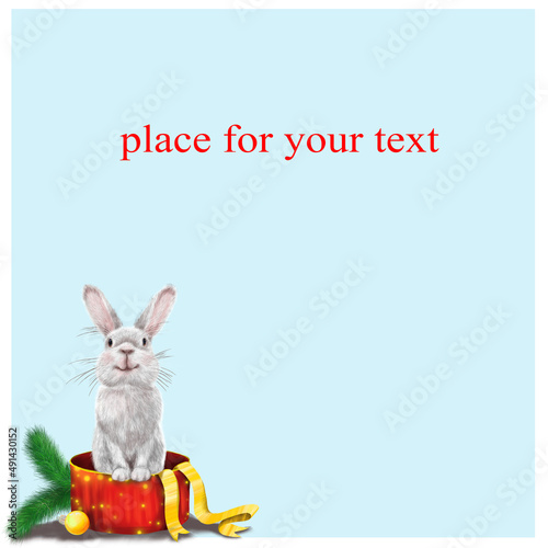 A beautiful fluffy cute rabbit that sits in a gift box. The illustration is hand-drawn in a realistic style. New Year's illustration. The year of the rabbit.