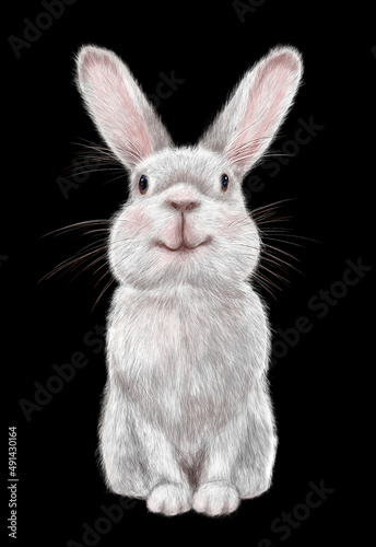 A beautiful fluffy cute rabbit that sits Illustration is hand-drawn in a realistic style.  The year of the rabbit.