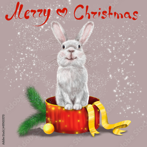 A beautiful fluffy cute rabbit that sits in a gift box. The illustration is hand-drawn in a realistic style. New Year's illustration. The year of the rabbit.