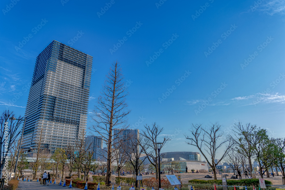 Obraz premium 東京都江東区豊洲の夕方の都市景観