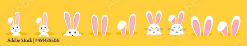 Photo Easter rabbit, easter Bunny. Vector illustration.
