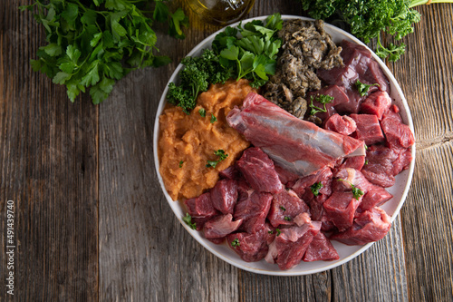 Raw meat feeding or raw food for dogs