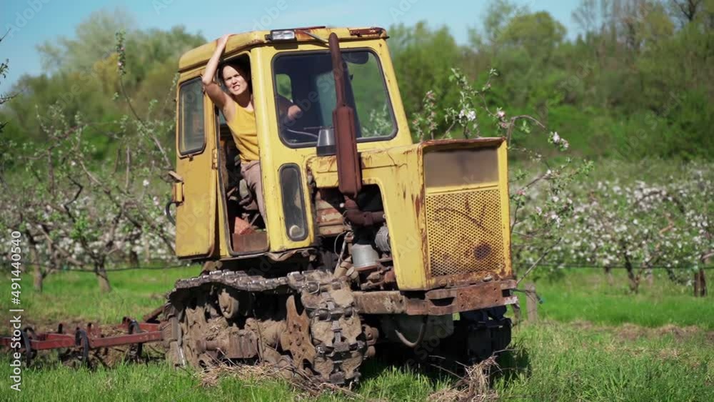 Old Tractor in the Field. Farmer in Old-fashioned tractor sowing crops at field. Woman driving small tractor in field and waving hand Old Tractor in the Field. Farmer in Old-fashioned tractor sowing crops at field. Woman driving small tractor in field and waving hand