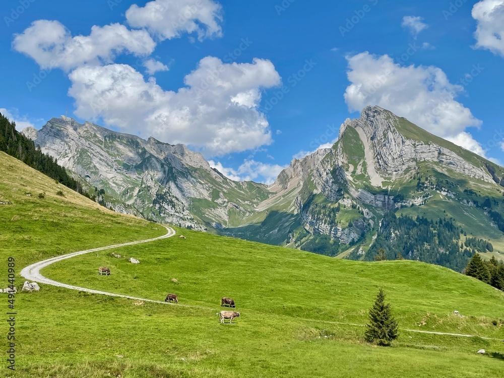 Mountain road in the Swiss Alps, Alpstein range in the background. Toggenburg, St. Gallen, Switzerland.