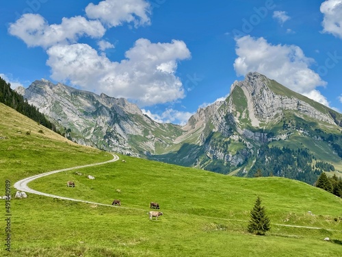 Mountain road in the Swiss Alps, Alpstein range in the background. Toggenburg, St. Gallen, Switzerland.