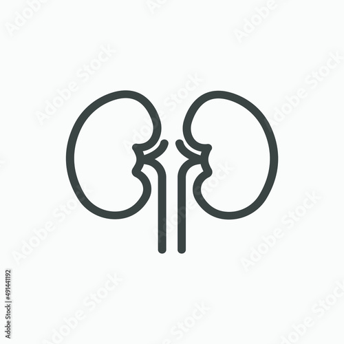 Kidney, medical, organ icon vector isolated
