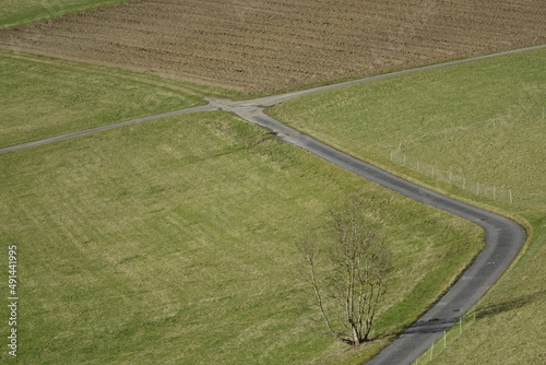 View on fields and meadow crossed by tarmac road (horizontal), Ruckersfeld, NRW, Germany