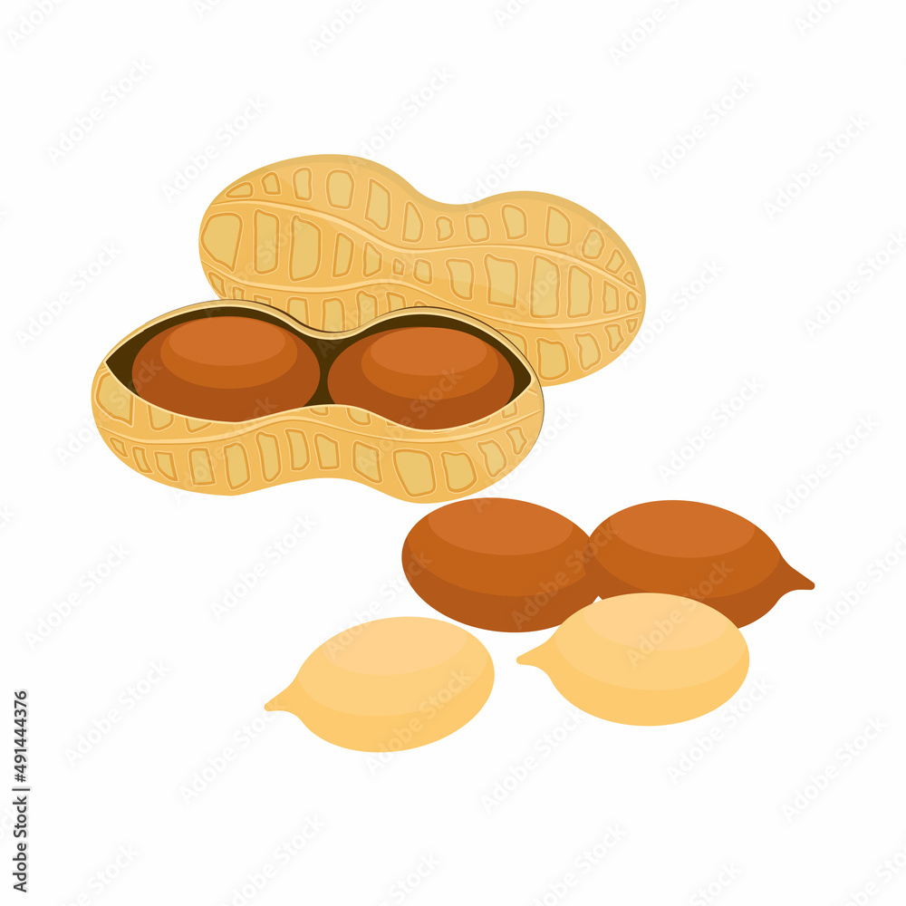 Vector peanuts in cartoon style for template label, packaging snackand emblem farmer market design