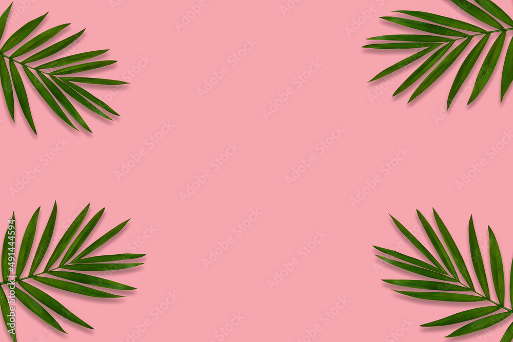 green palm leaf branches on pink background. flat lay, top view