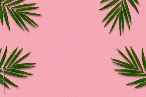 green palm leaf branches on pink background. flat lay  top view