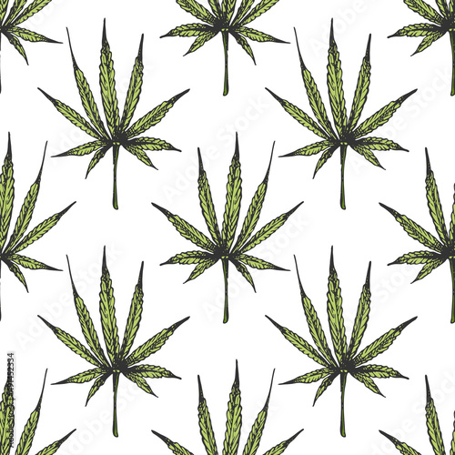 146_cannabis sativa, indica_hemp leaf icon, green, black outline, sativa cultivar, isolate, white background, seamless pattern, wallpaper,