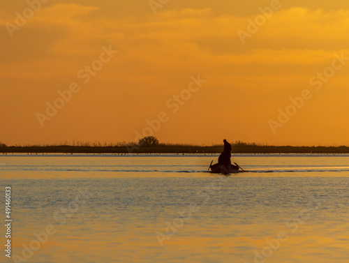 silhouette of a person on the beach