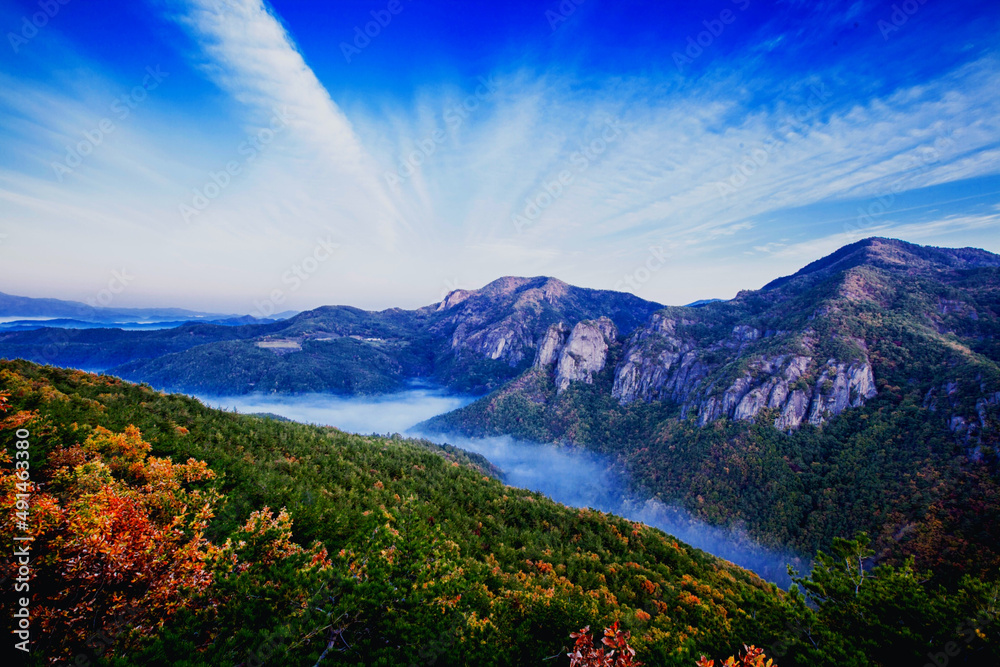 Mountains Nature Fog Clouds Peak Trees Forest Landscape
