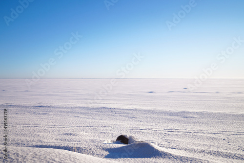 Gulf of Finland in winter. Ice covered with snow. © Oksana Kalinina