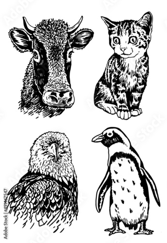 Vector collection of animals on white isolated graphical elements cow cat  eagle and penguin