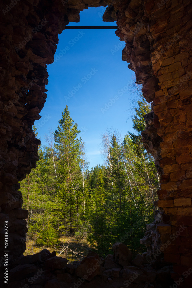 A sunny spring day landscape of old red brick ruins in the forest. Old building in the Northern Europe.