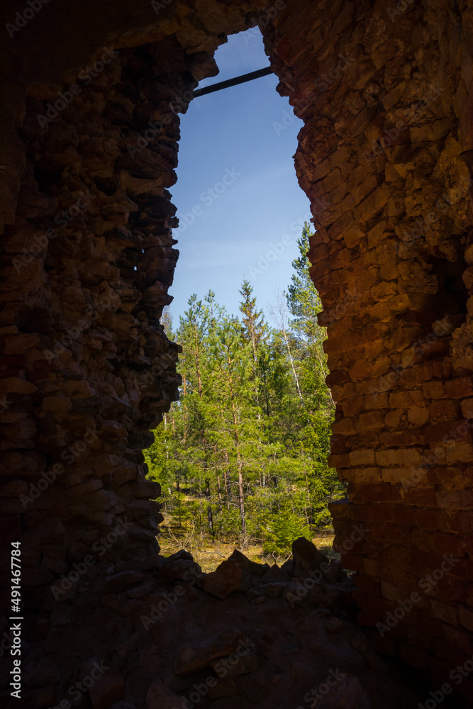 A sunny spring day landscape of old red brick ruins in the forest. Old building in the Northern Europe.