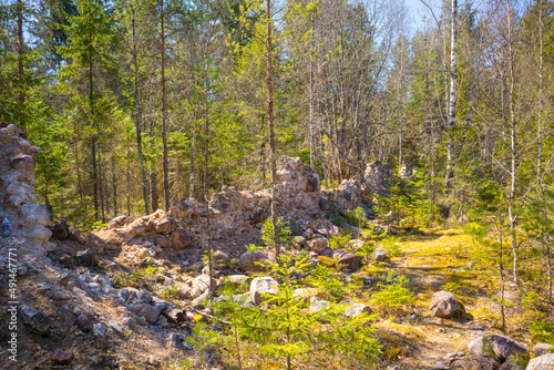 A sunny spring day landscape of old red brick ruins in the forest. Old building in the Northern Europe.