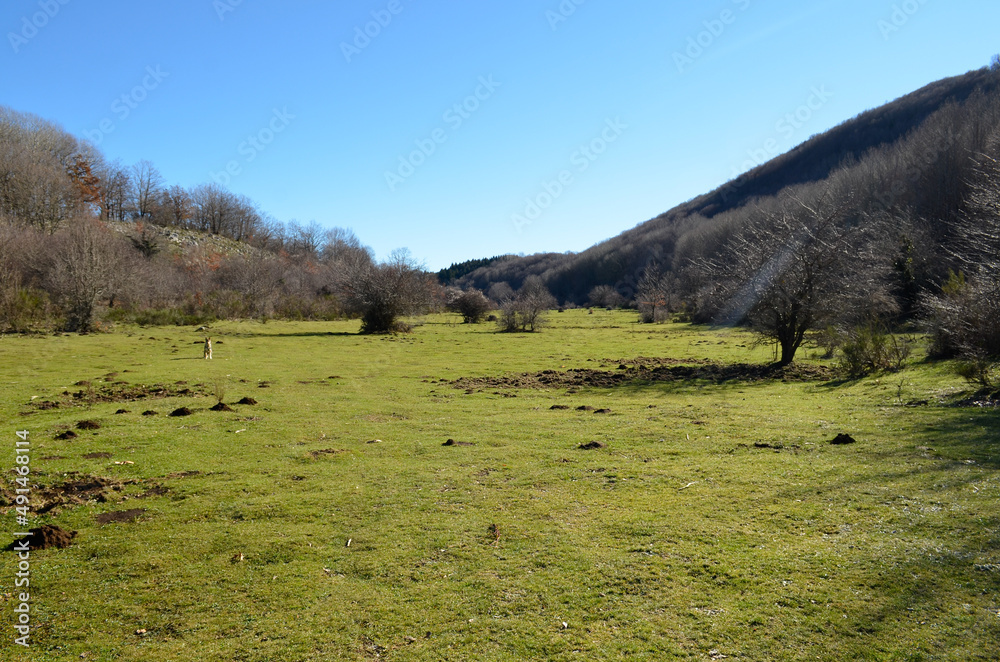 Landscape La valle del monte carmelo,sant'arsenio salerno vallo di diano