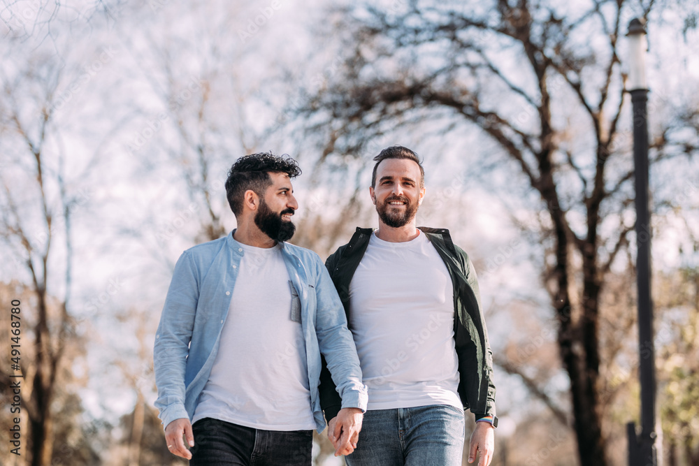 Sonriente pareja gay multiétnica caminando en el parque. Sonriente pareja gay multiétnica caminando en el parque.