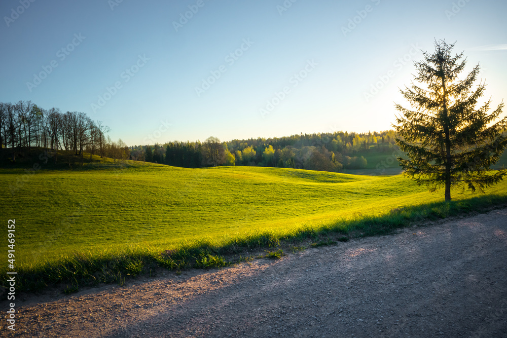 A beautiful springtime landscape with a gravel road. Dirt road in Northern Europe.