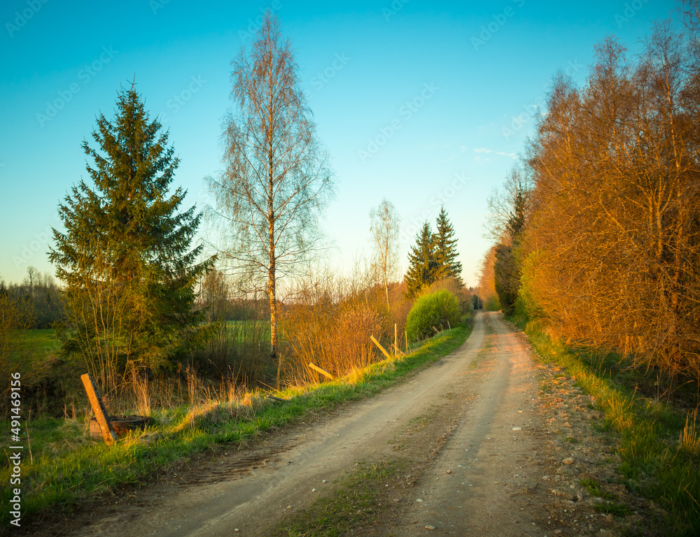 A beautiful springtime landscape with a gravel road. Dirt road in Northern Europe.