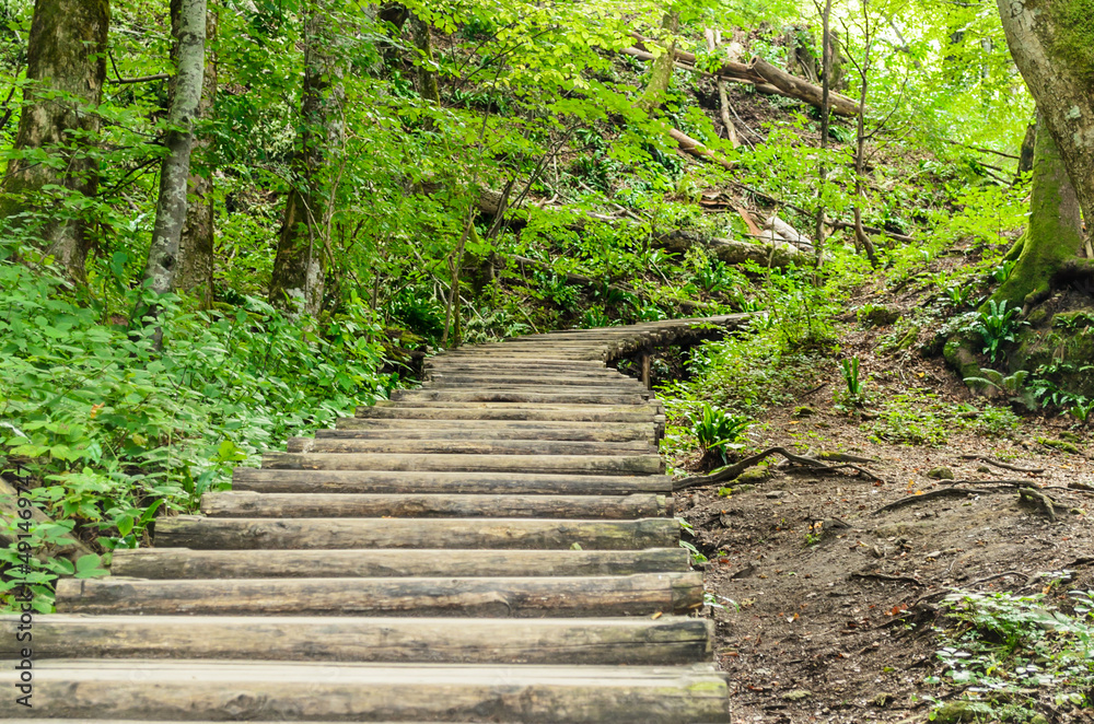 Wooden Footpath through the Deep Forest in Plitvice Lakes National Park, Croatia. Beautiful Green Natural Environment in Central Europe. Unesco World Heritage. Wooden Footpath through the Deep Forest in Plitvice Lakes National Park, Croatia. Beautiful Green Natural Environment in Central Europe. Unesco World Heritage.