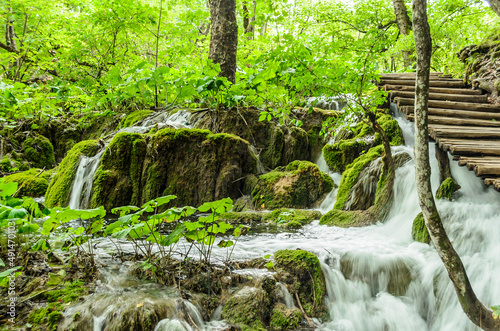 Plitvice Lakes National Park Waterfalls with Water Stream Flowing Under the Wooden Bridge. Natural Environment with Mossy Trees and Green Deep Forest in Croatia.