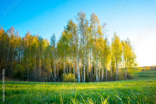 A beautiful  colorful spring landscape of Northern Europe. Seasonal scenery of rural area.