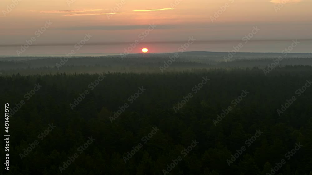 Sunrise over the forest in the fog Sunrise over the forest in the fog