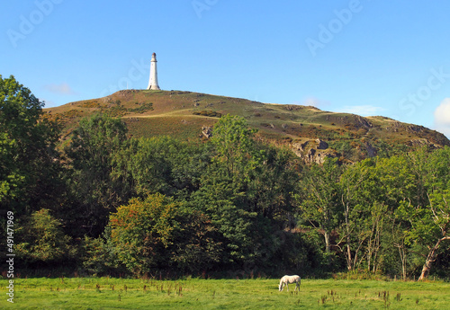 hoad hill and historic 19th century monument in Ulverston with a horse grazing in a meadow photo