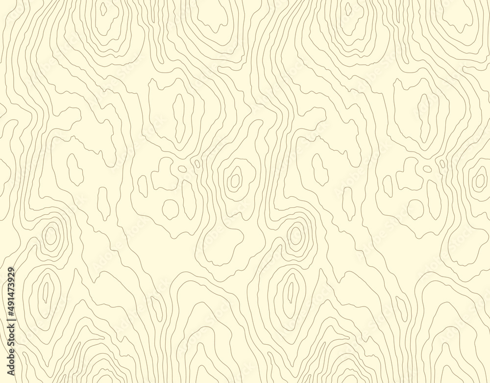 Wood grain white texture. Seamless wooden pattern. Abstract line background. Tree fiber illustration