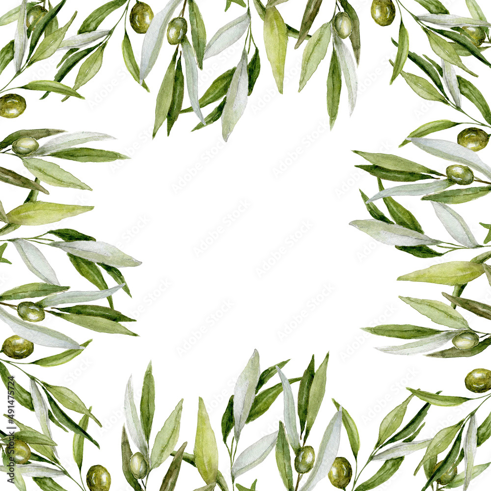 Obraz premium Green Olive Square Frame, Watercolor Floral Rectangle Frame with Olive branches, Olive Berries and Branches Border, Hand painted Exotic illustration on white background