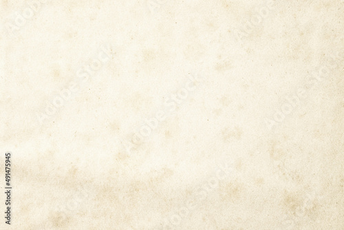 light paper texture with empty space. old parchment as background