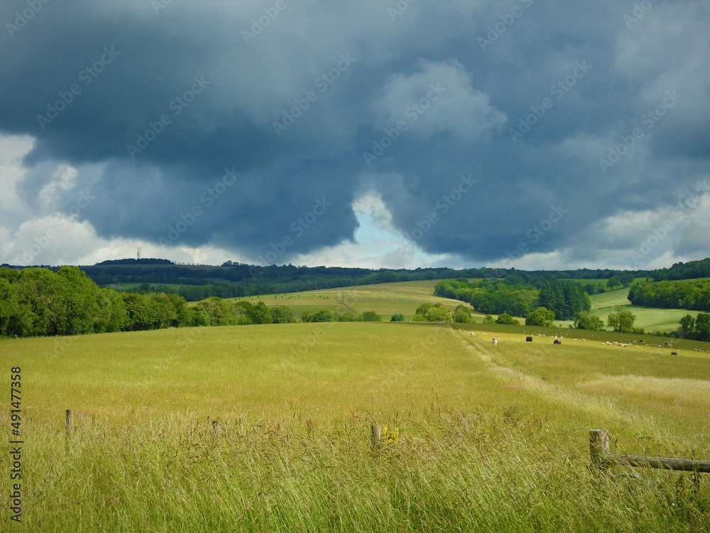 Green fields with trees and dark clouds