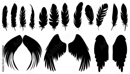 set of feather and wings of a bird black silhouette, isolated vector