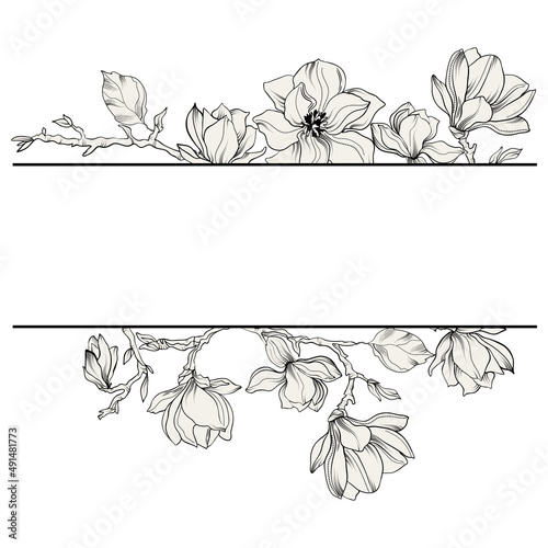 floral border with magnolia flowers