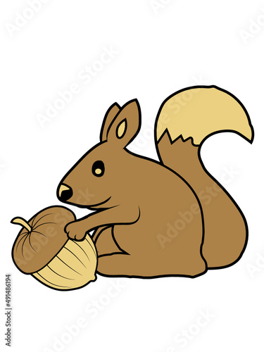 Glückliches Eichhörnchen Eichel 